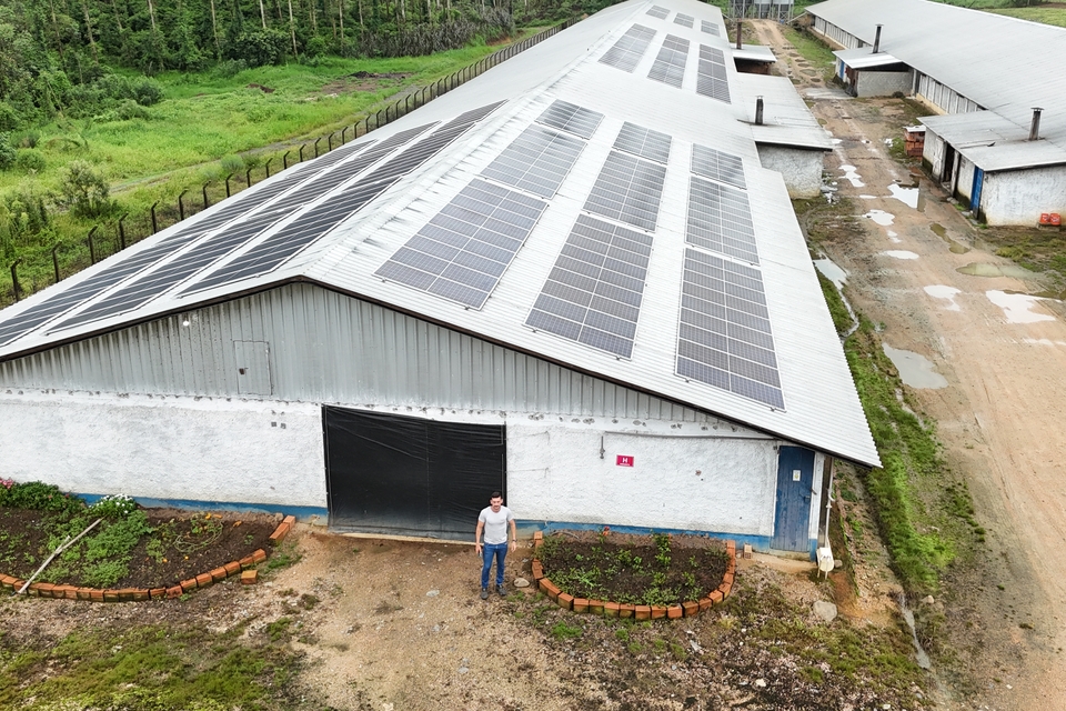 Granja de Sandro Fontanella, produtor integrado em Forquilhinha (SC), alcança entre 80% e 83% de sua demanda energética com fontes de energia limpa e renovável.