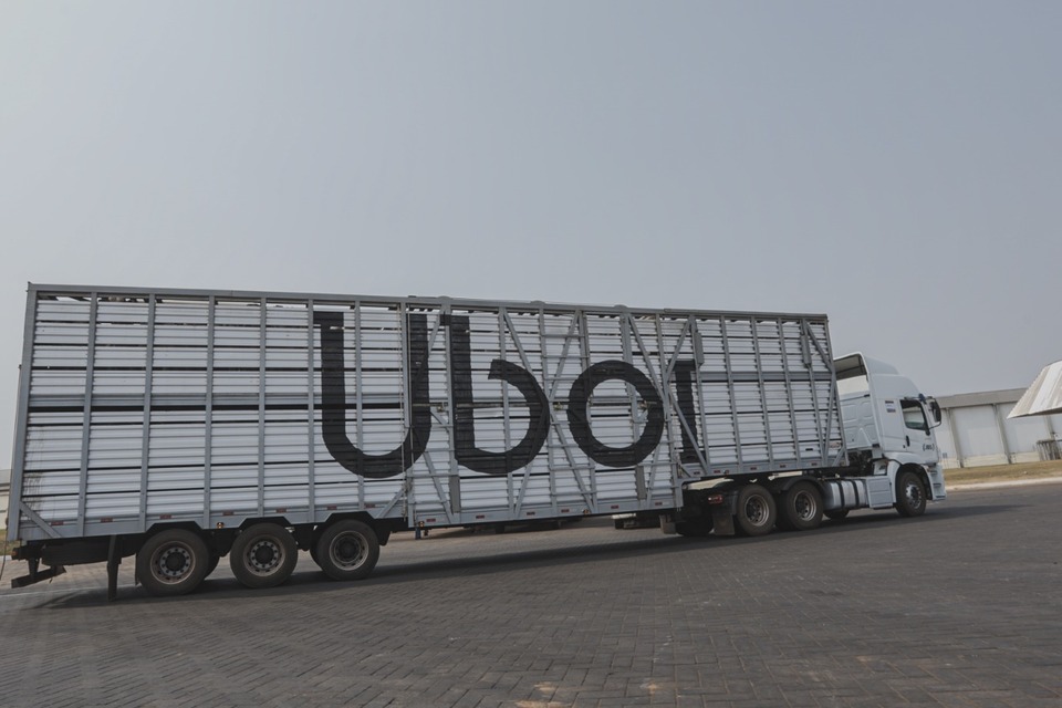 A plataforma oferece contratação multicanal: via aplicativo, WhatsApp, telefone e site